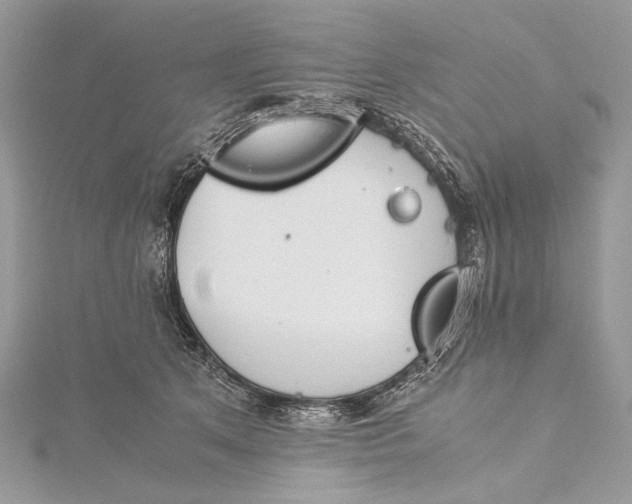 X0000115540513200911201742