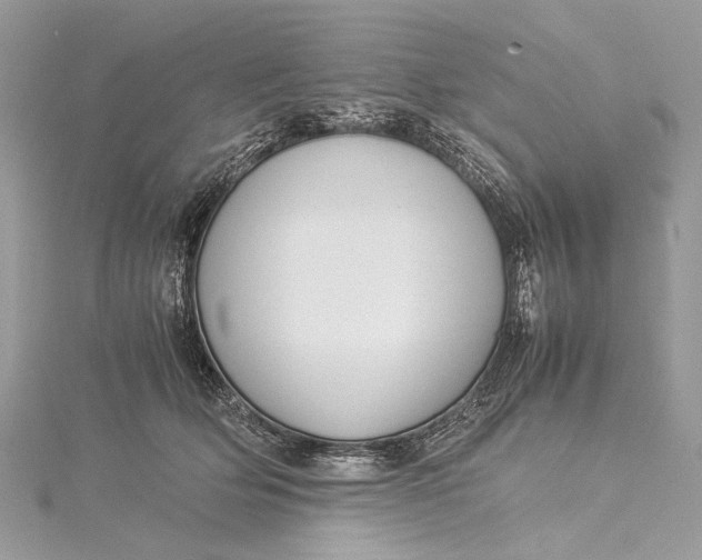 X0000115540514200911201742