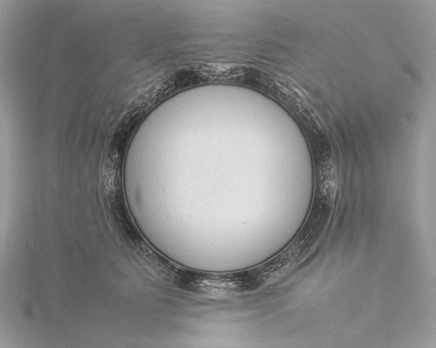 X0000115540515200911201742