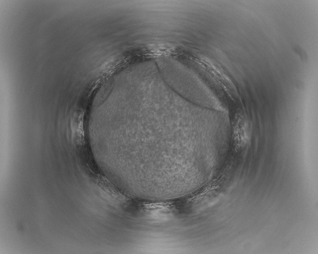 X0000115540516200911201742