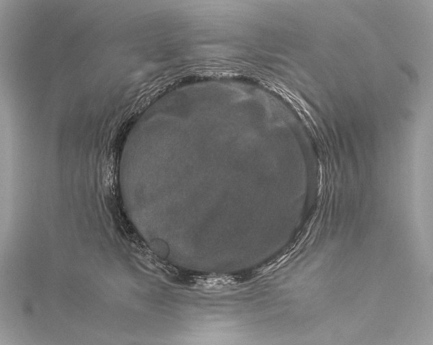 X0000115540517200911201742