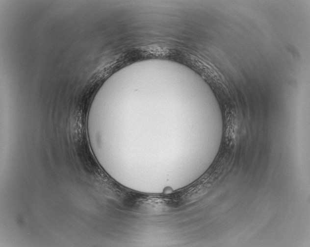 X0000115540518200911201742