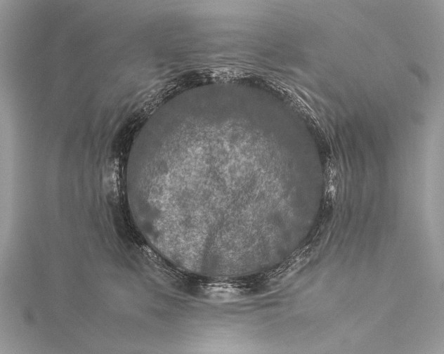 X0000115540519200911201742