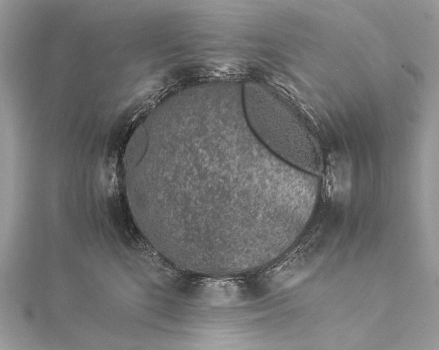 X0000115540520200911201742