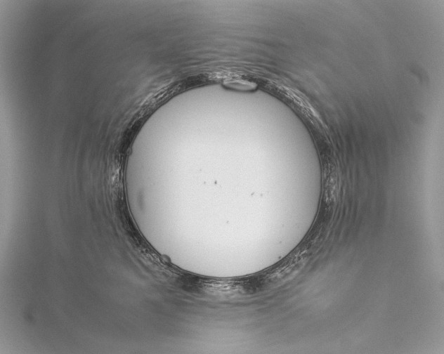 X0000115540521200911201742