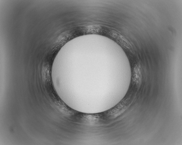 X0000115540522200911201742