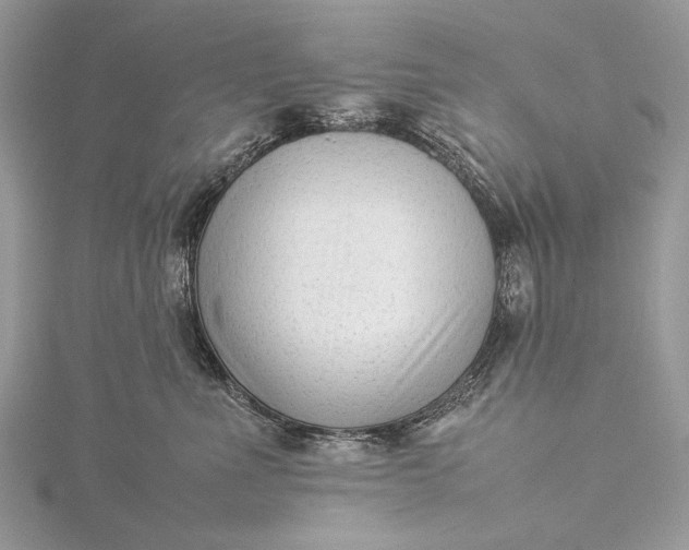 X0000115540523200911201742