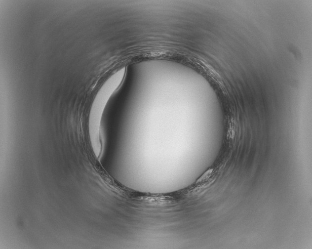 X0000115540524200911201742