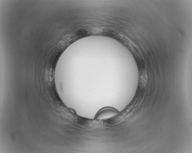 X0000115540525200911201742