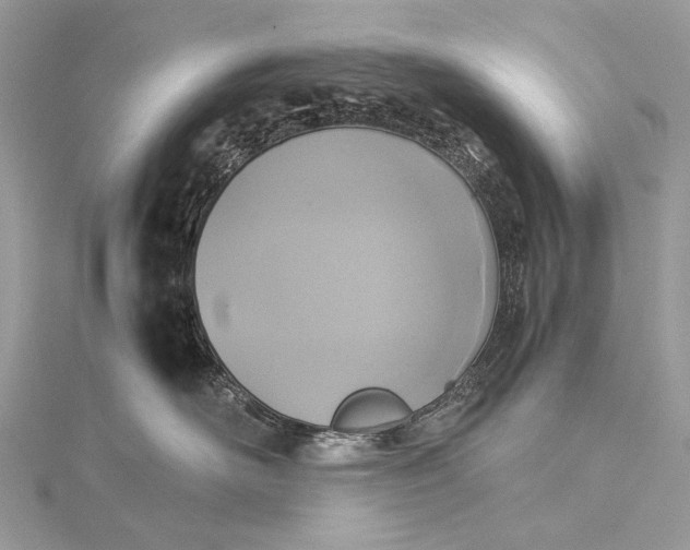 X0000115540526200911201742