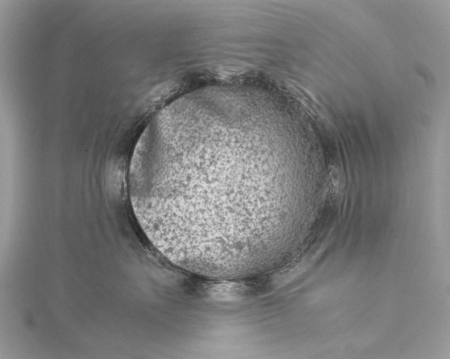 X0000115540527200911201742