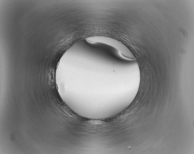 X0000115540528200911201742