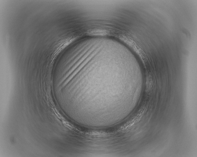 X0000115540529200911201741