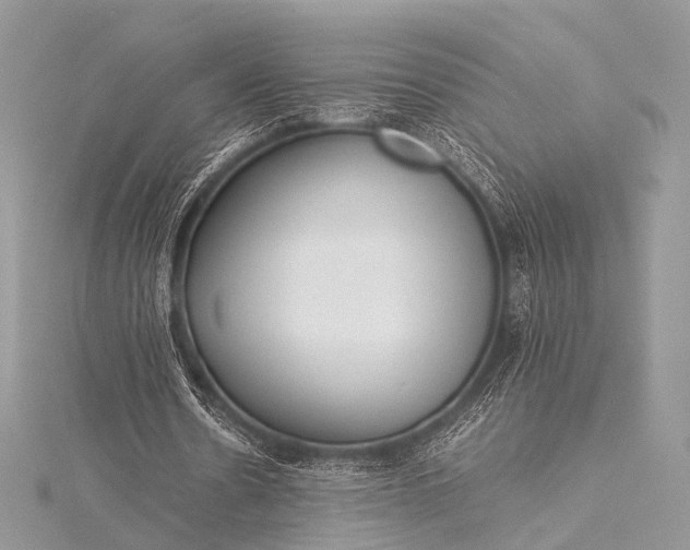 X0000115540530200911201741