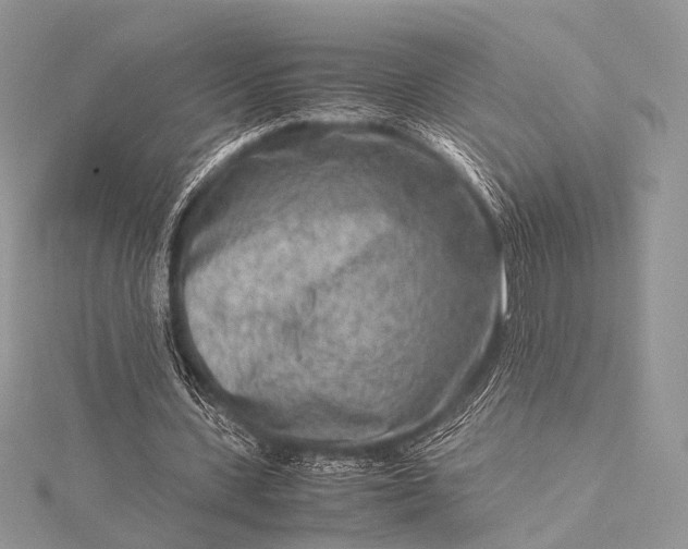 X0000115540531200911201741