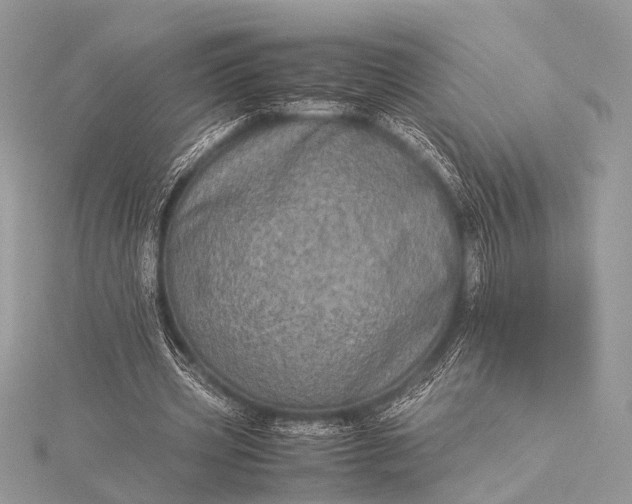 X0000115540533200911201741