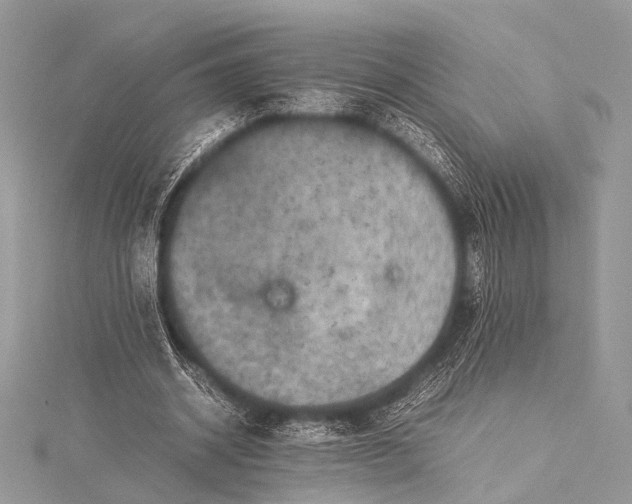 X0000115540534200911201741