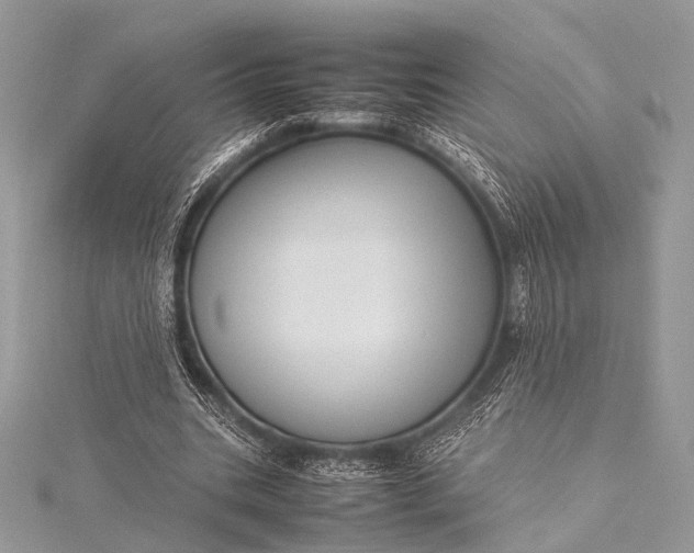 X0000115540535200911201742