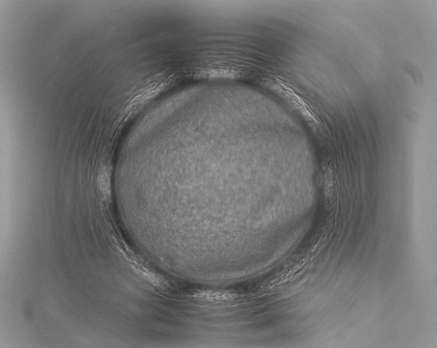 X0000115540537200911201742