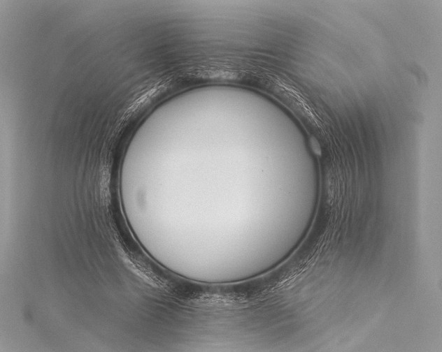 X0000115540538200911201742