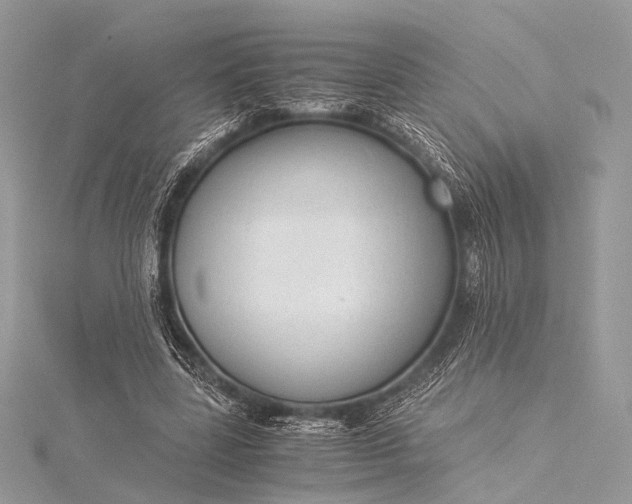 X0000115540539200911201742