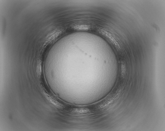 X0000115540541200911201742