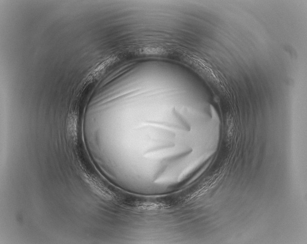 X0000115540542200911201742