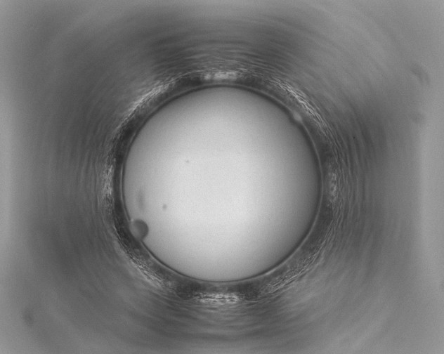 X0000115540543200911201742