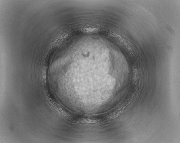 X0000115540545200911201742