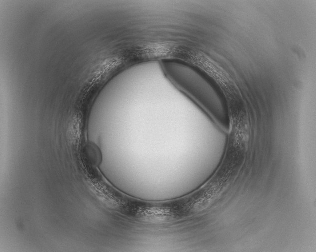 X0000115540546200911201742