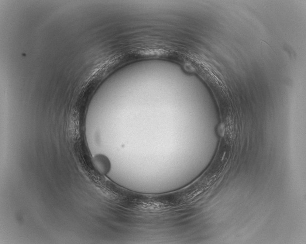 X0000115540547200911201742