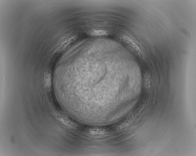 X0000115540549200911201742