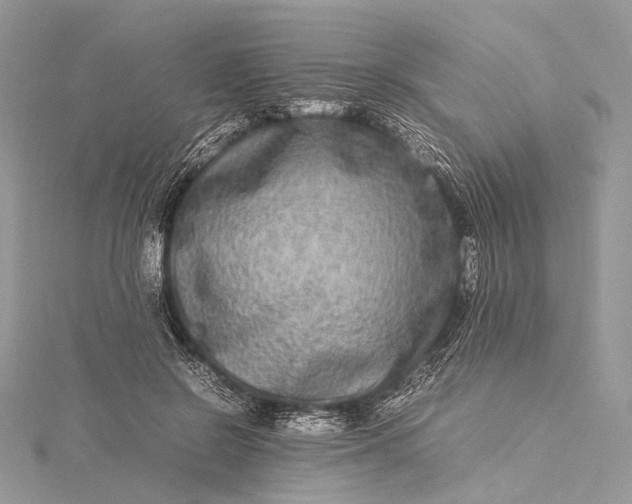 X0000115540550200911201742