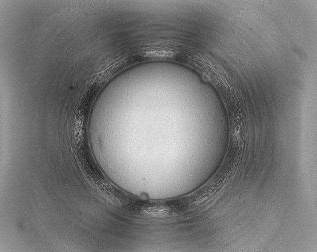 X0000115540551200911201742