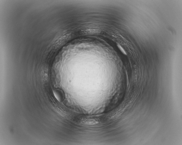 X0000115540553200911201742