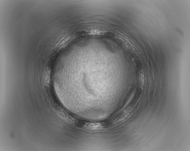 X0000115540554200911201742