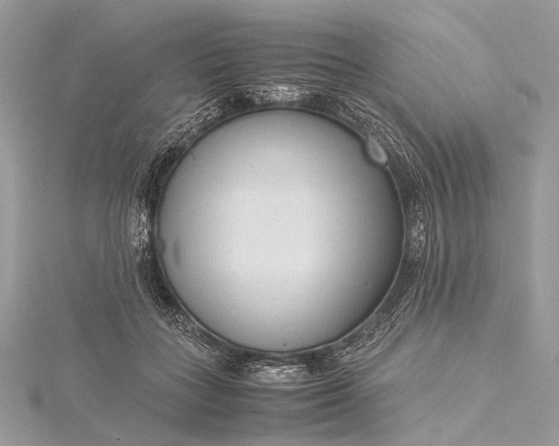 X0000115540555200911201742