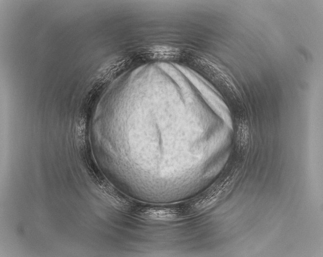 X0000115540557200911201742