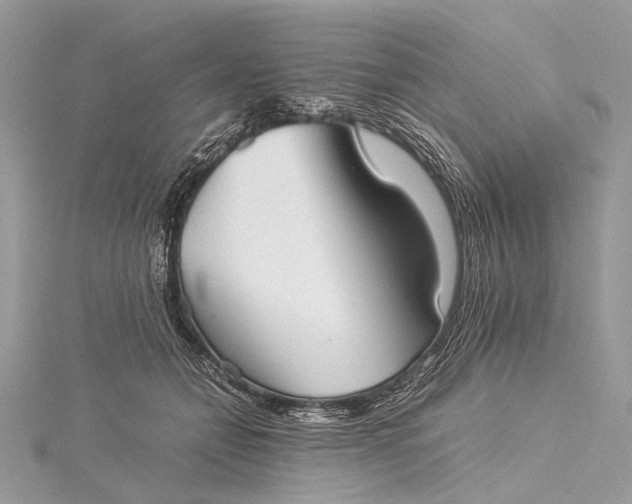 X0000115540558200911201742