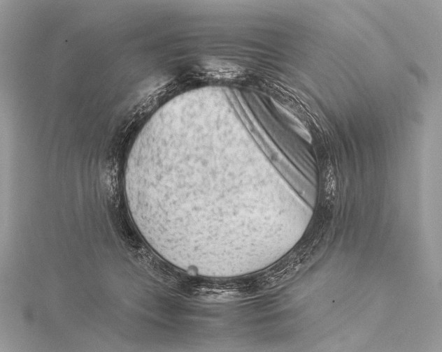 X0000115540559200911201742