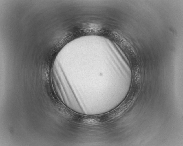 X0000115540561200911201742