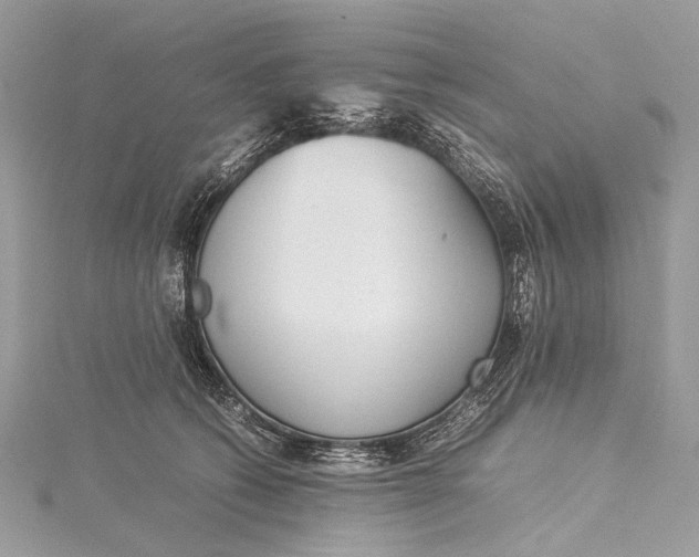 X0000115540562200911201742