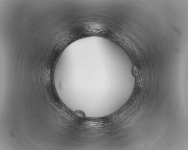 X0000115540563200911201742