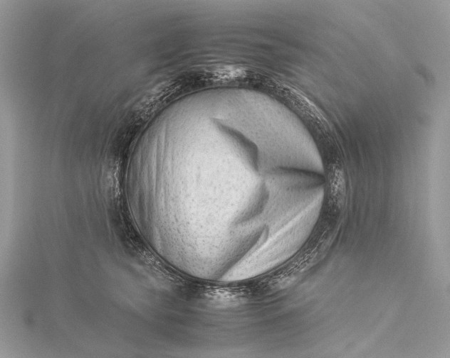 X0000115540565200911201742