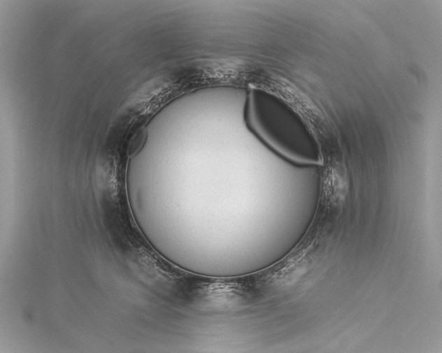 X0000115540566200911201742