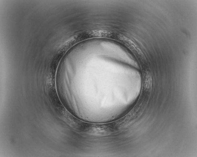 X0000115540569200911201742