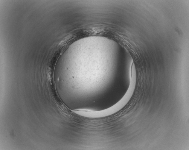 X0000115540570200911201742