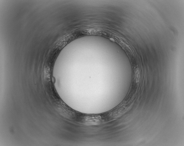 X0000115540571200911201742