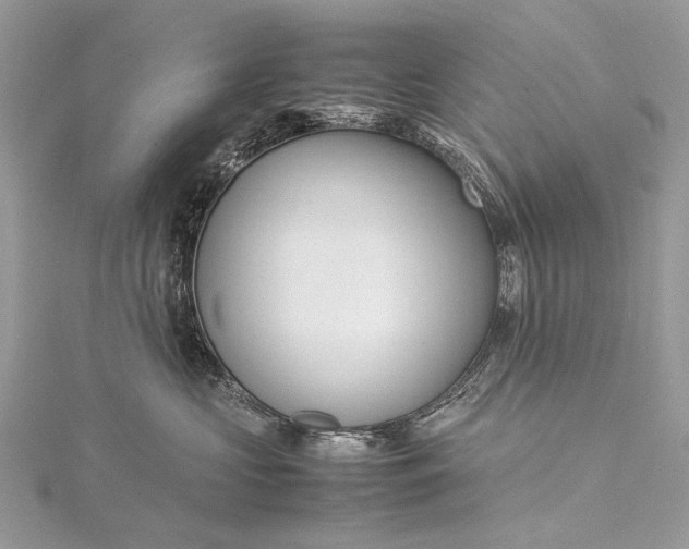 X0000115540573200911201742