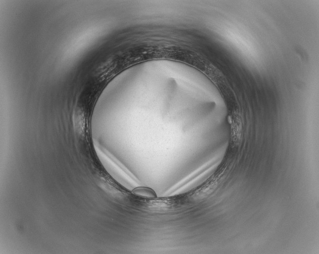 X0000115540574200911201742